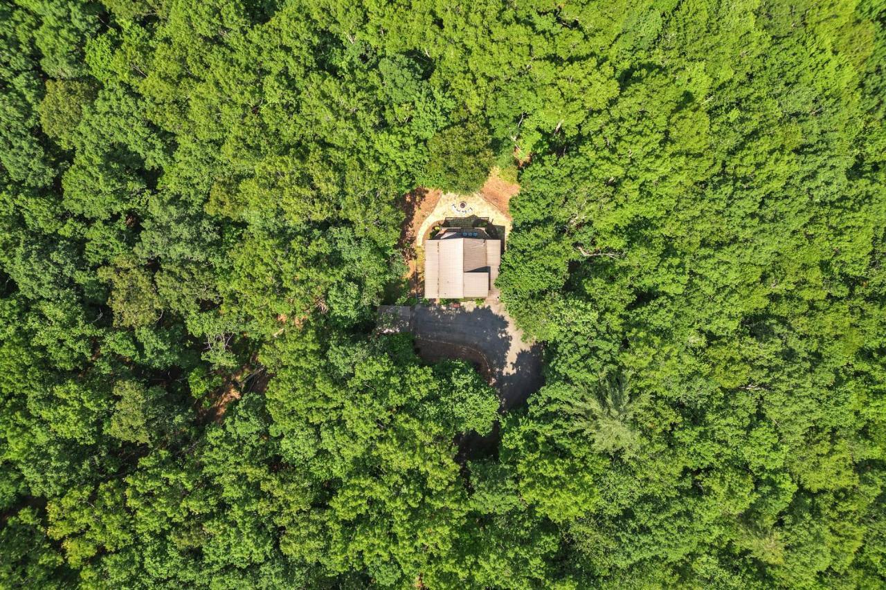 Bear Naked Bungalow Blue Ridge Luaran gambar